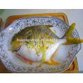 high quality frozen new fresh pompano fish